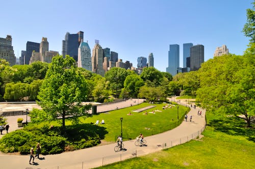 Central Park in New York &ndash; &copy; Touch - Fotolia