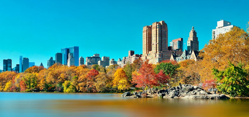 Central Park in New York - ©rabbit75_fot - Fotolia