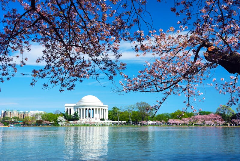 Jefferson Memorial in Washington D.C. - ©rabbit75_fot - Fotolia