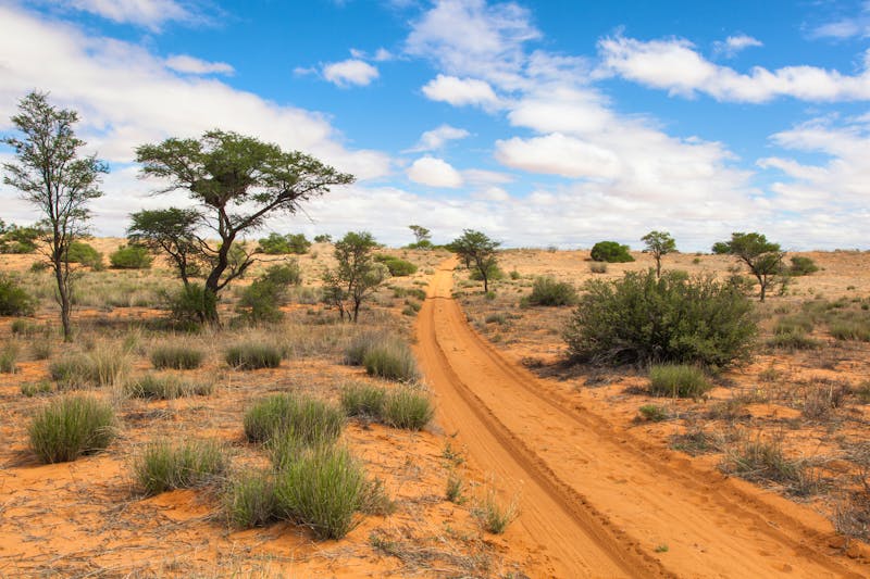 Kalahari Wüste - ©Michael Wick - Adobe Stock