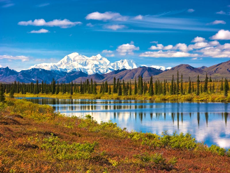 Denali Nationalpark in Alaska - ©Foto Zihlmann - Fotolia