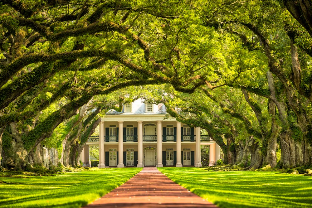 Oak Alley Plantage - Südstaaten &ndash; &copy; f11photo - Fotolia