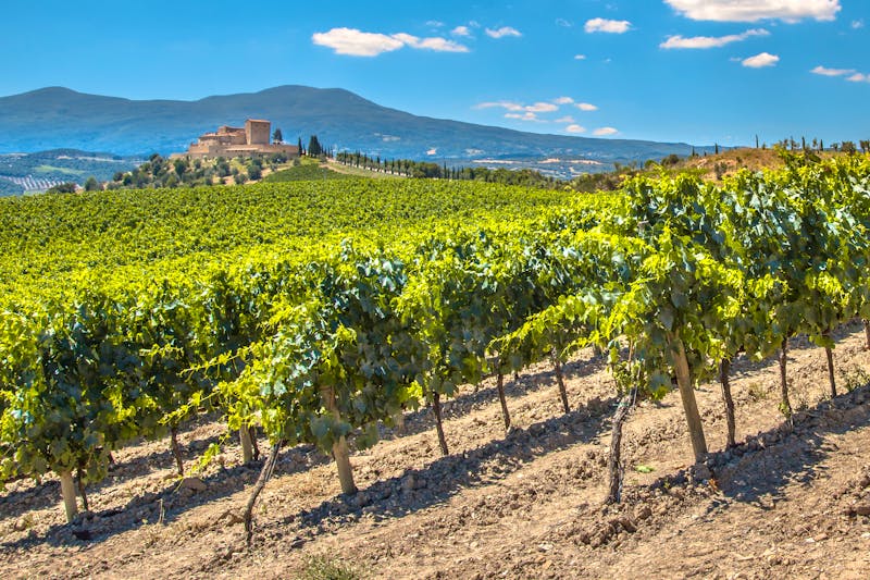 Weingebiet La Rioja in Nordspanien - ©www.CreativeNature.nl - Adobe Stock