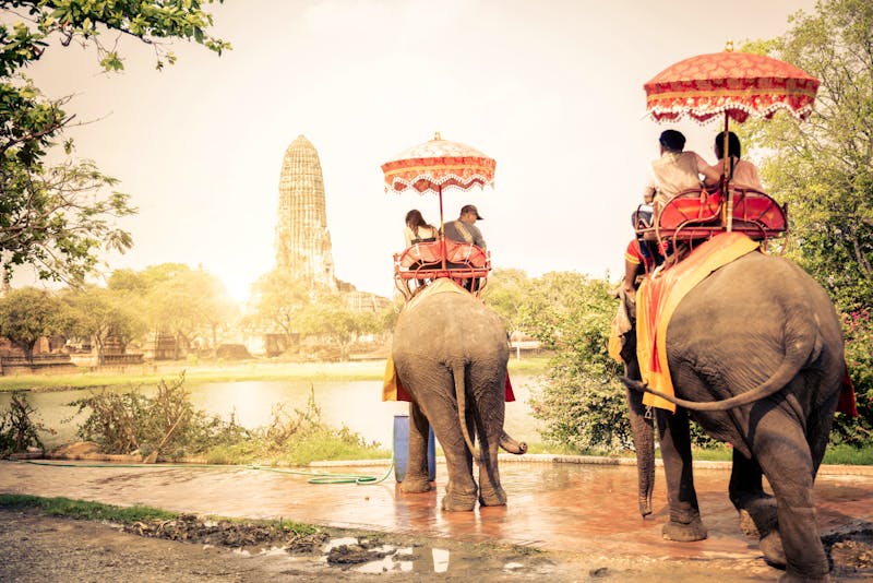 Elefanten in Ayutthaya - ©oneinchpunch - Fotolia