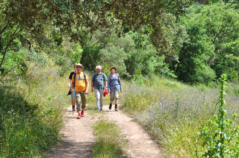 Wandern in der Region Alentejo - Portugal - ©Hotel Monte Dom Manuel