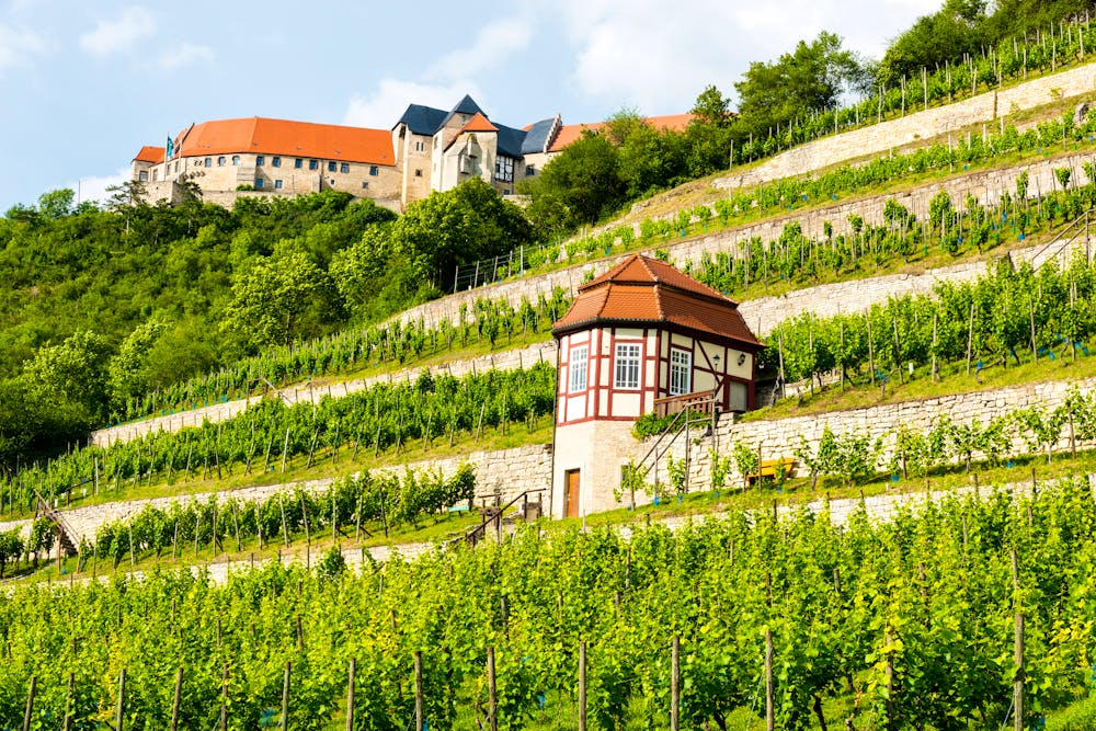 _Sachsen-Anhalt_Freyburg_Neuenburg_Weinberg_Unstrut &ndash; &copy; foto_tech - Fotolia