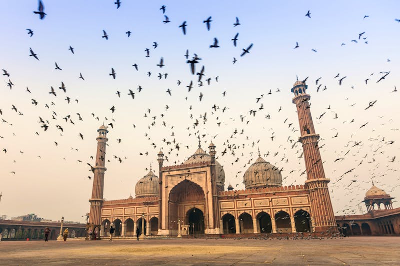 Delhi - Freitagsmoschee - ©wanfahmy - Fotolia