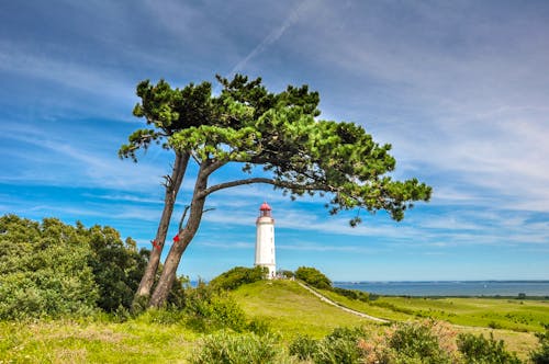 Hiddensee_Dornbusch_Leuchtturm &ndash; &copy; Henry Czauderna - Fotolia