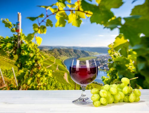 Mosel_Wein_Glas_Traube &ndash; &copy; mh90photo - Fotolia