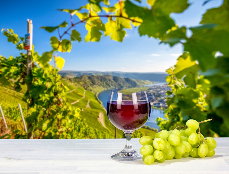 Mosel_Wein_Glas_Traube - ©mh90photo - Fotolia