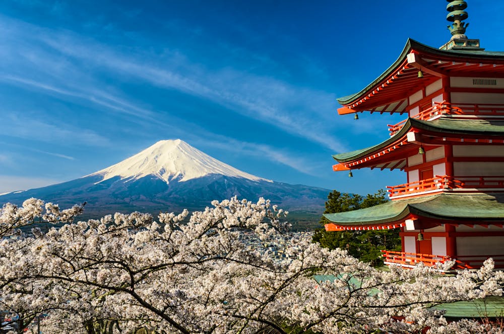 Vulkan "Fuji" zur Kischblüte &ndash; &copy; Mapics - AdobeStock