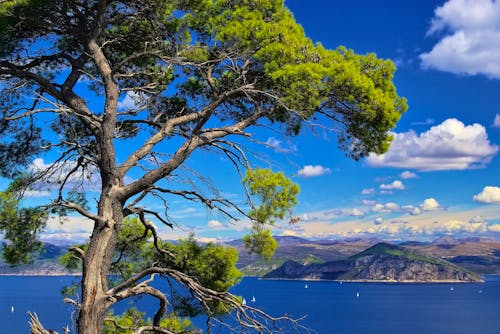 Elaphitische Inseln - Kroatien &ndash; &copy; LianeM - Fotolia