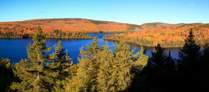 Algonquin Provinz Park - ©Andreas Edelmann - Fotolia