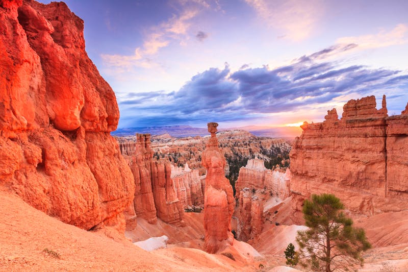 Bryce Canyon - West-USA - ©f11photo - Fotolia