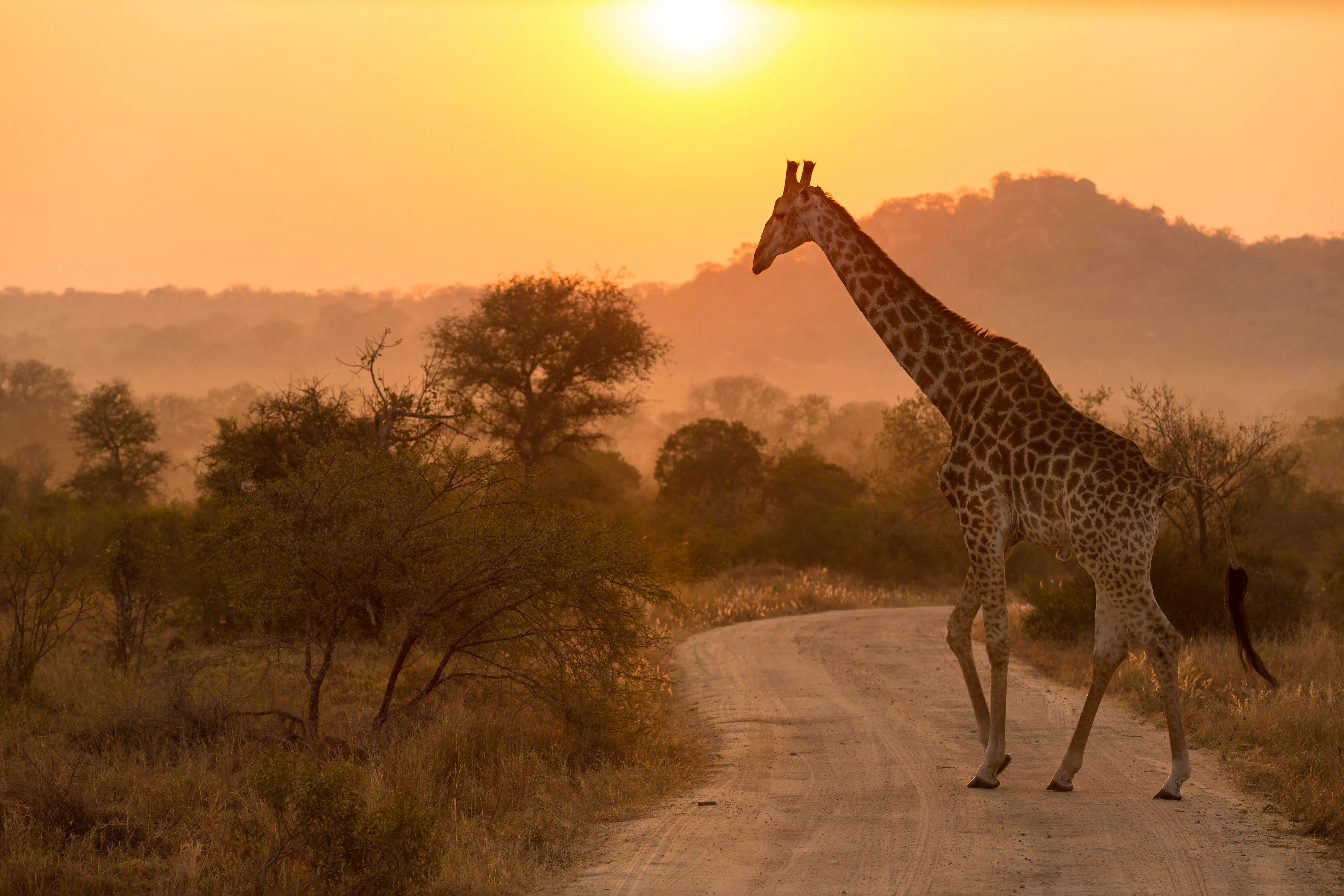 Zell am See - Patrick Fritzsche