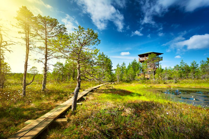 Lahemaa Nationalpark - ©candy182 - Adobe Stock