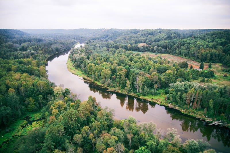 Gauja-Nationalpark - ©martinsvanags - Adobe Stock