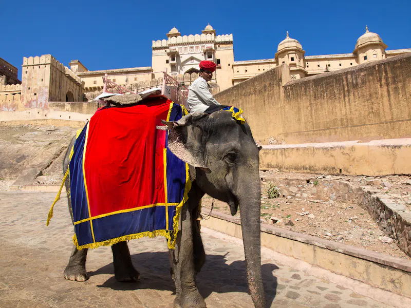 Elefant am Fort Amber - &copy;nevenm - Fotolia