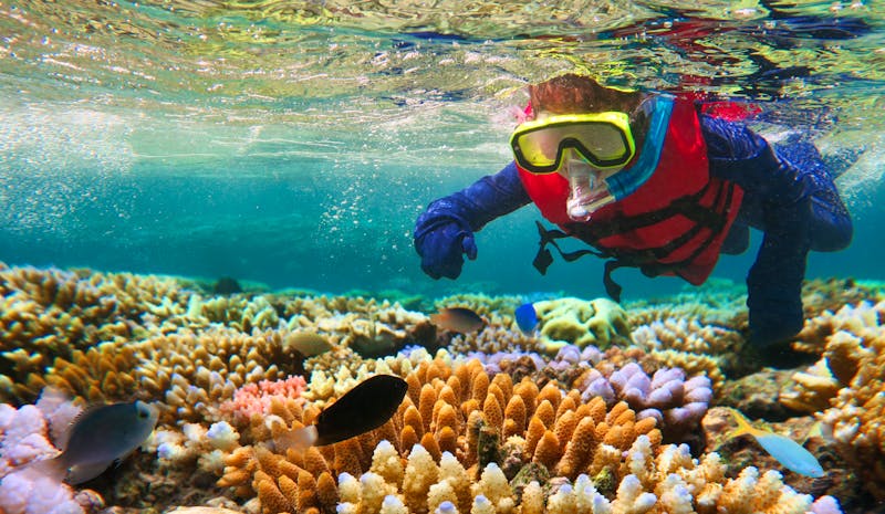 Great-Barrier-Reef_Taucher_Korallen - ©Rafael Ben-Ari - Fotolia