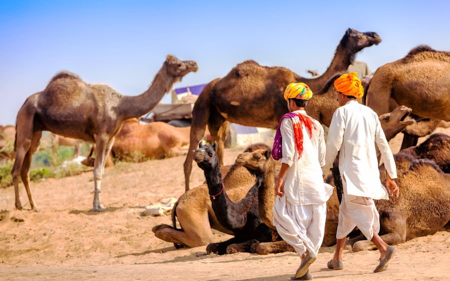 Männer beim Pushkar Festival - Kamel-Austellung – © photoff - Fotolia