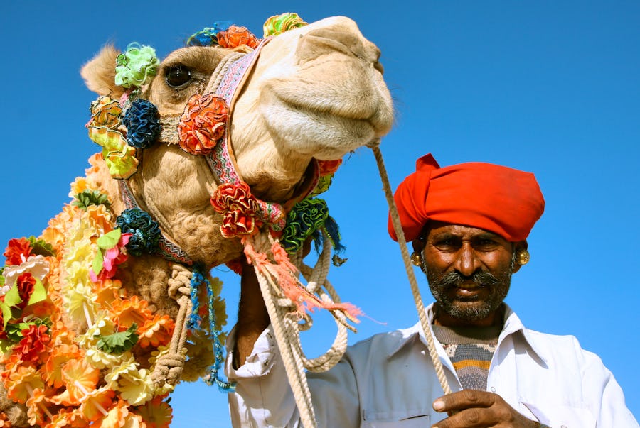 Mann mit blumen-geschmücktem Kamel – © Aleksandar Todorovic - Fotolia