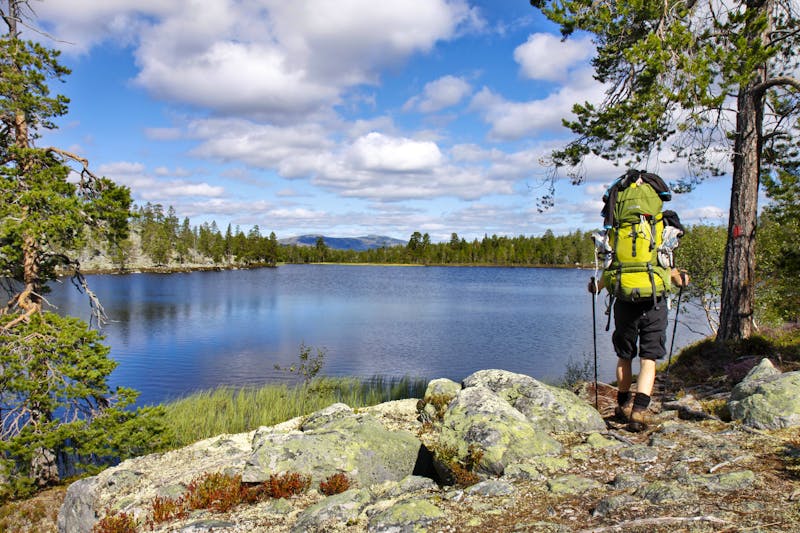 Wandern im Femundsmarka Nationalpark - ©Jens Ottoson - Fotolia
