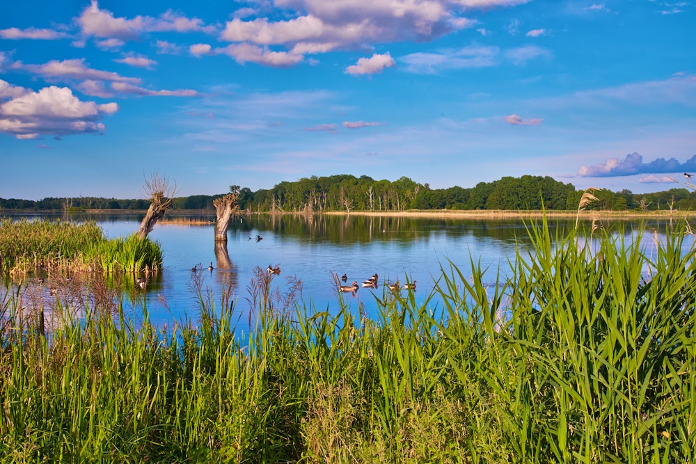 Mecklenburger Seenplatte – © dina - AdobeStock
