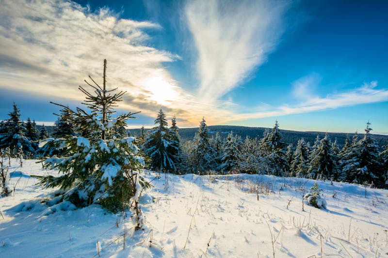 ThueringerWald_Winter_Schneekopf - ©mp1982_06 - Fotolia