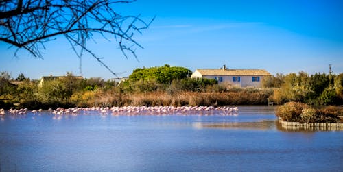 Parc Regional de Camargue &ndash; &copy; MissKlik - AdobeStock