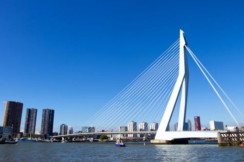 Erasmusbrücke Rotterdam &ndash; &copy; VanderWolf Images - AdobeStock