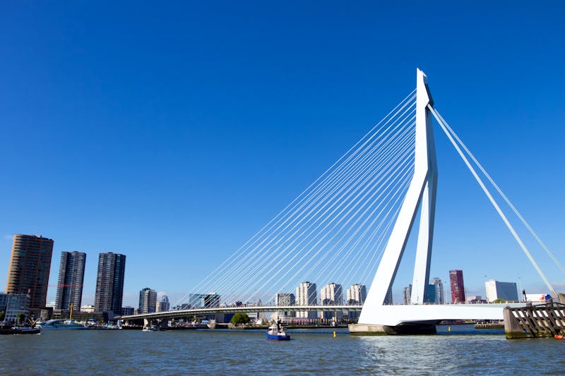 Erasmusbrücke Rotterdam - ©VanderWolf Images - AdobeStock