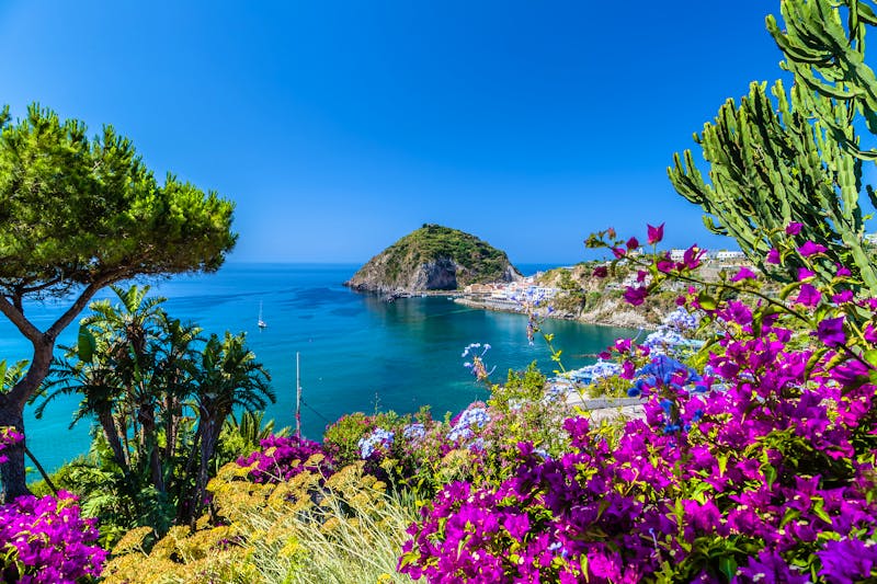 Kübelpflanzen auf Ischia - &copy;GoneWithTheWind - AdobeStock