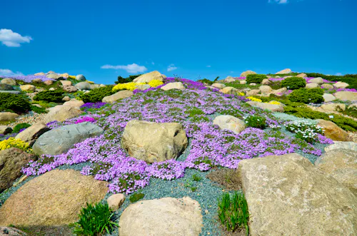 Findlingspark-Nochten_Findlingspfad &ndash; &copy; Clearlens - AdobeStock