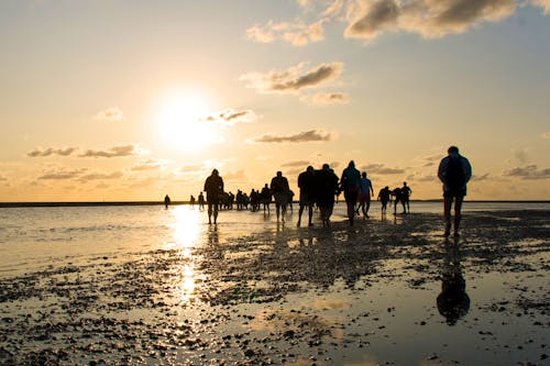 Wattwanderung &ndash; &copy; Makuba - Fotolia