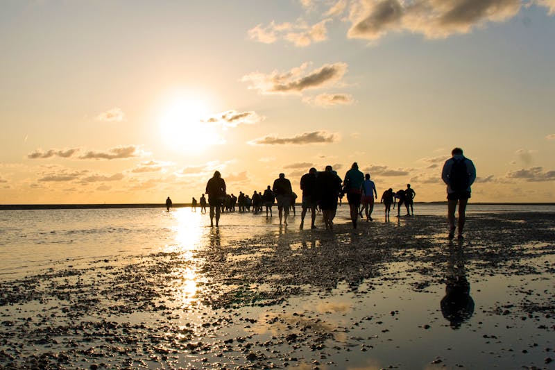 Wattwanderung - ©Makuba - Fotolia