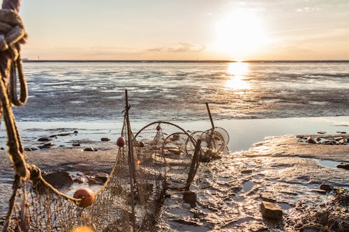 Krabbenreuse Nordsee &ndash; &copy; timboosch - Fotolia