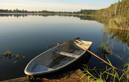 Boot im Spreewald &ndash; &copy; Th. Lieder - AdobeStock