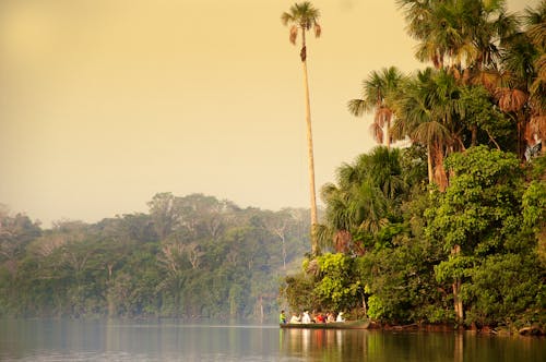 Jungle in Peru &ndash; &copy; Ellen Ebenau - Fotolia