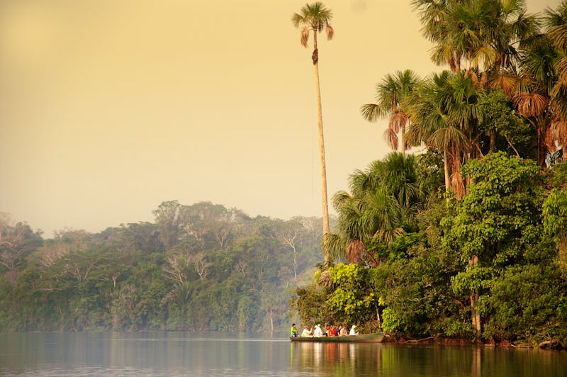 Jungle in Peru - ©Ellen Ebenau - Fotolia