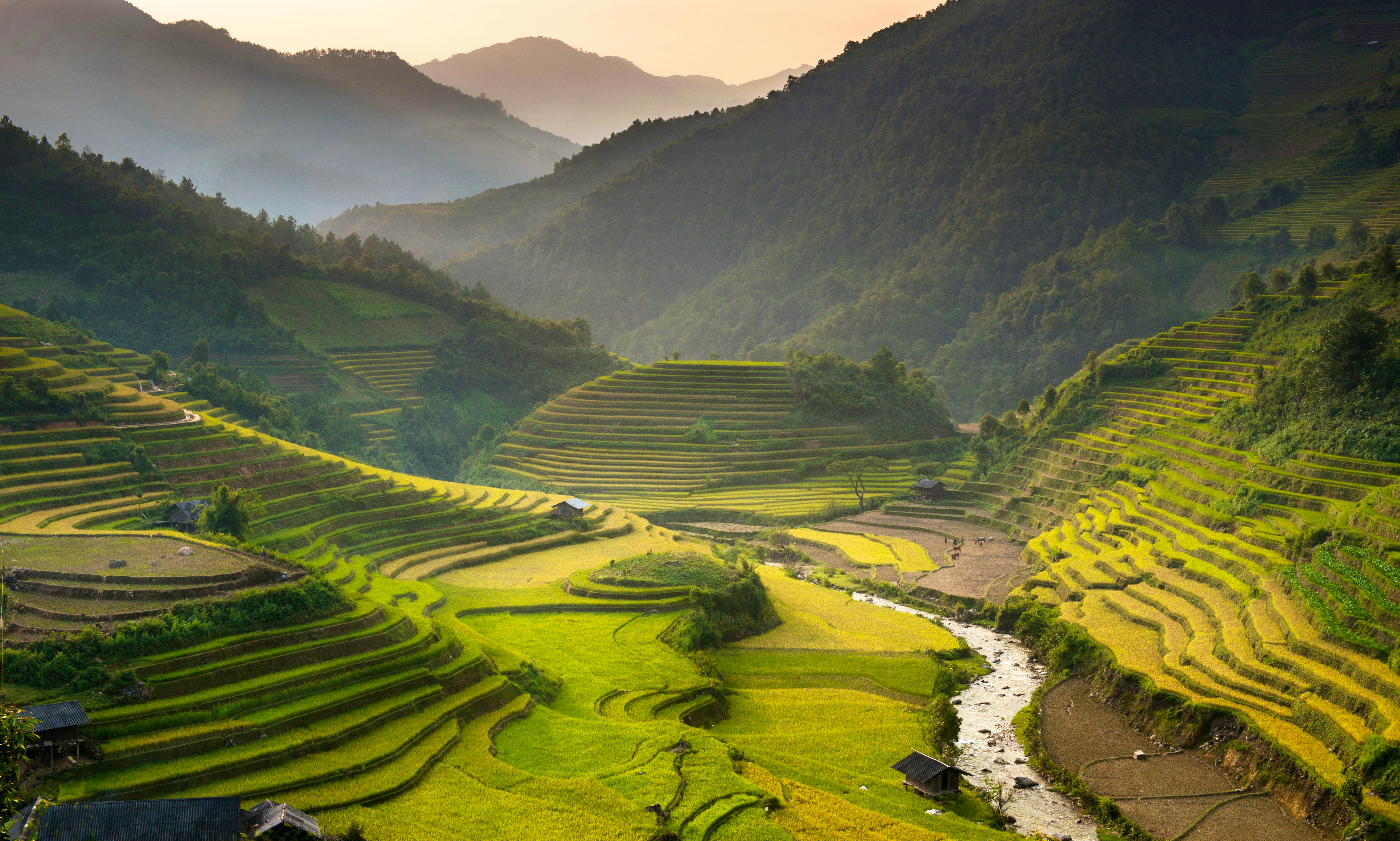 Reisfelder &copy; stveak - AdobeStock