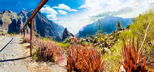Bergdorf Masca auf Teneriffa &ndash; &copy; carloscastilla - Fotolia