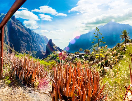 Bergdorf Masca auf Teneriffa – © carloscastilla - Fotolia
