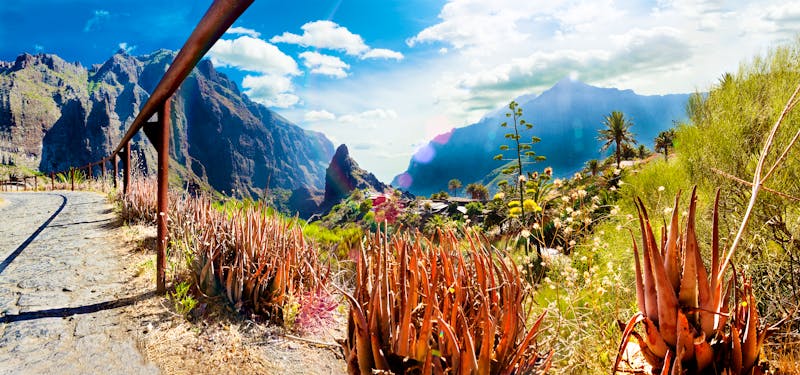 Bergdorf Masca auf Teneriffa - ©carloscastilla - Fotolia