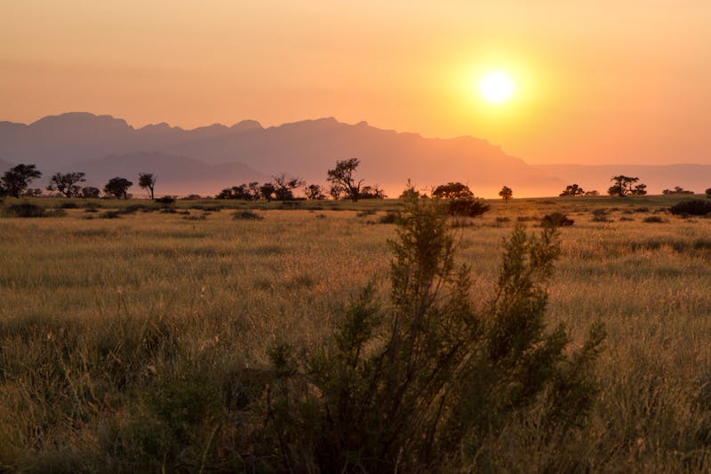 Affrika – Namib-Naukluft-Nationalpark - ©Jan Schuler – AdobeStock