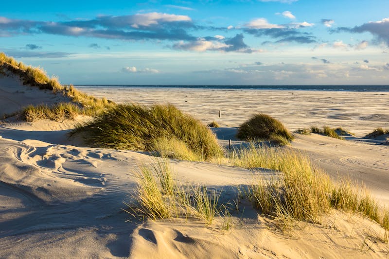 Insel-Amrum_Duenen - ©RicoK - AdobeStock