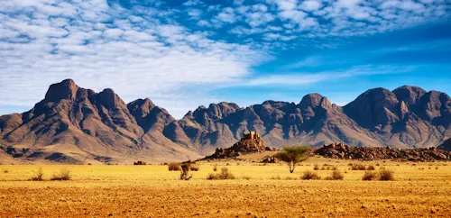 Wüste Namib &ndash; &copy; Dmitry Pichugin - Adobe Stock