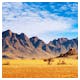Wüste Namib – © Dmitry Pichugin - Adobe Stock