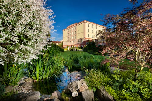 Franzensbad - Spa & Wellness Hotel Francis Palace &ndash; &copy; Spa & Wellness Hotel Francis Palace Franzensbad
