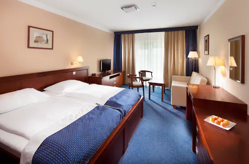 Franzensbad - Spa & Wellness Hotel Francis Palace - Zimmerbeispiel &ndash; &copy; Spa & Wellness Hotel Francis Palace Franzensbad