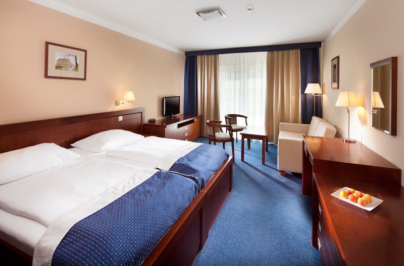 Franzensbad - Spa & Wellness Hotel Francis Palace - Zimmerbeispiel – ©Spa & Wellness Hotel Francis Palace Franzensbad